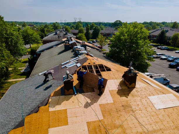 Trusted Flat Roof Repair service in Belvidere, NC - Brentwood Metal Roofing